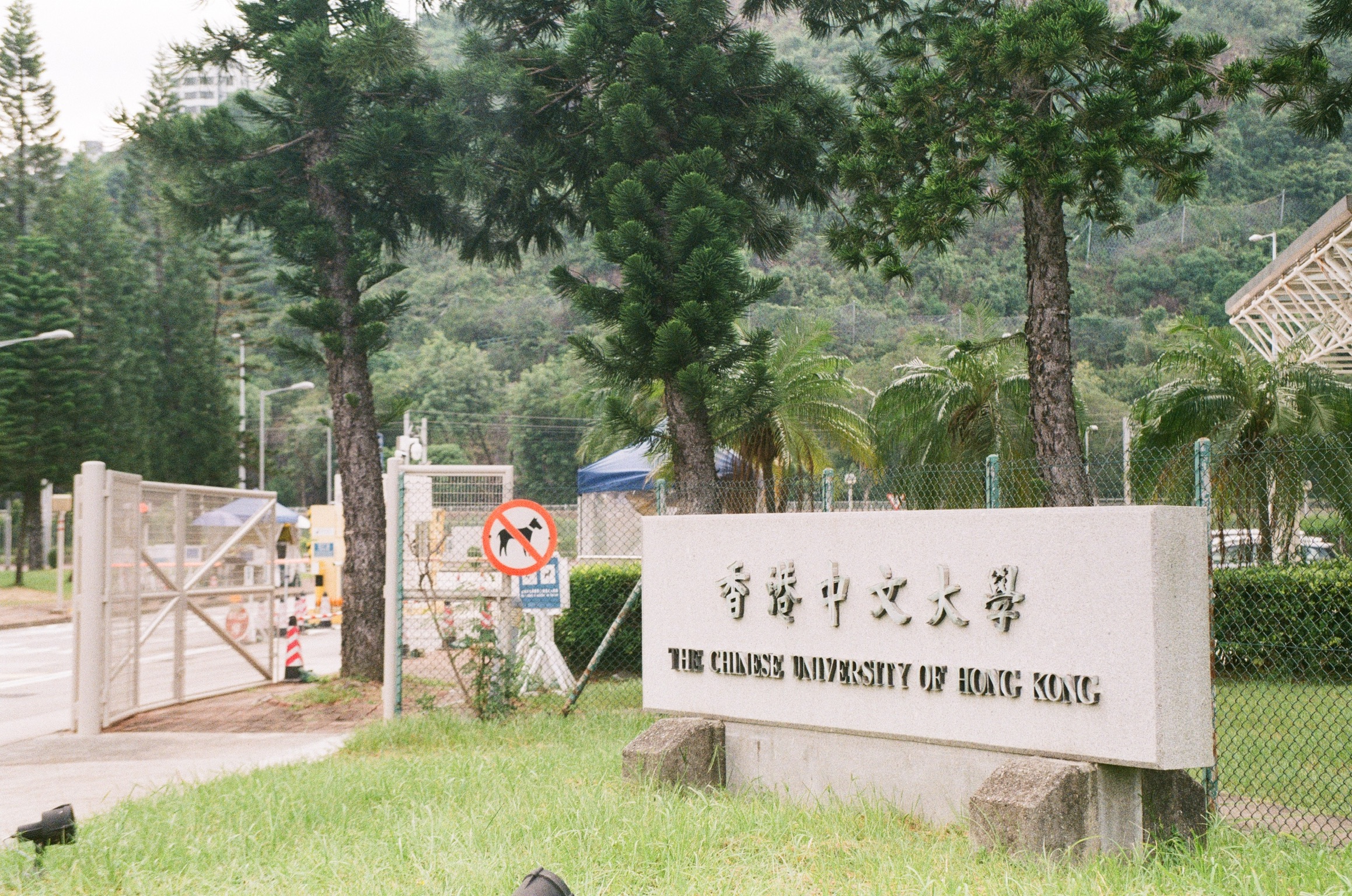 Fuji 200 #5